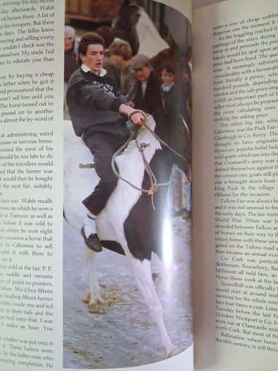 The World of The Irish Horse / 1992