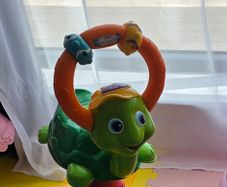 Activities Turtle
