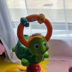 Activities Turtle
