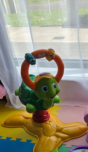 Activities Turtle