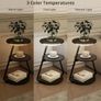Side Table Set of 2, Bedside Small Coffee Table with 3 Color LED Lights, End Table with 3 Tier Storage Shelves for Living Room Bedroom, Black Image 6