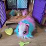 Little live pet sets Image 2