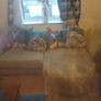 furniture Image 2