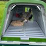 Omlet Eglu Go up Hen Run and house Image 6