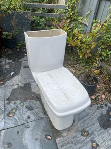 Free to collect bathroom toilet