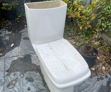 Free to collect bathroom toilet