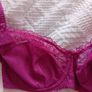 Fantasie Estelle - Underwired Side Support Bra 30F and Briefs S - Berry - BNWT RRP 80 Image 3