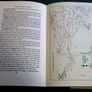 Holiday cruising in Ireland A guide to Irish inland waterways 1971 Image 5