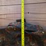 Ben Sherman Paisley Print Shirt Size Medium Image 9