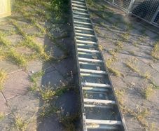 ladders for sale