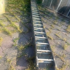 ladders for sale
