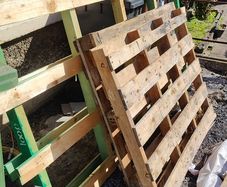 Timber Pallets