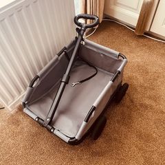 Pet trolly