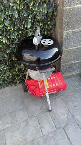 bbq webber