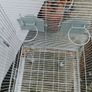 bird cage Image 4