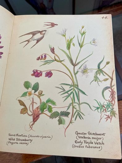 1980 Hardback Edition The Country Diary of An Edwardian Lady 1906
