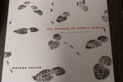The Shadow of James Joyce/ Chapelizod &amp; Environs/Motoko  Fujita/The Lilliput Press