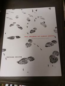 The Shadow of James Joyce/ Chapelizod & Environs/Motoko  Fujita/The Lilliput Press