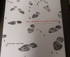 The Shadow of James Joyce/ Chapelizod & Environs/Motoko  Fujita/The Lilliput Press