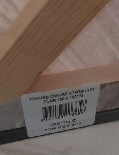 Canvas Art 'Starburst'