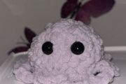 Ophelia the Octopus