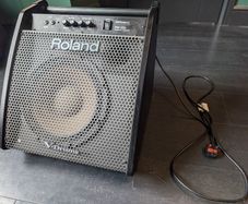 Roland PM200 Monitor Speaker. Excellent condition
