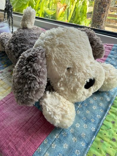 jellycat
