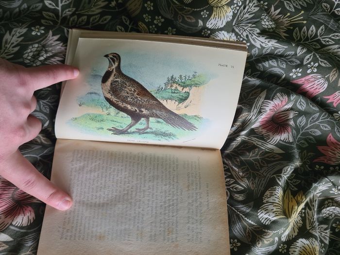 Scarce Lloyd's Natural History - 1896/7, 2 Vol. Set. Free Postage.