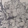 Helen Turkington Fine Art Print. Image 4
