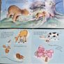 Hardback Collection of 5 Children's Books Image 4