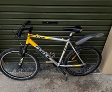 Trek Mountain Bike for sale
