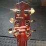 Takamine CP7 MO TT Image 7