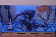 Tank 125 L Aquael