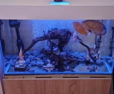 Tank 125 L Aquael