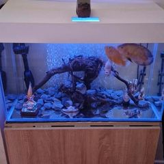 Tank 125 L Aquael