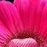 linda.conyard.7