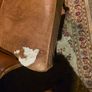 2 antique anne queen chesterfield Image 6