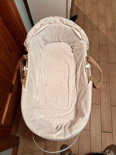 Moses Basket
