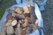 Firewood
