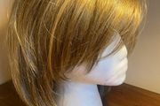 Hair wig