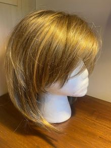 Hair wig