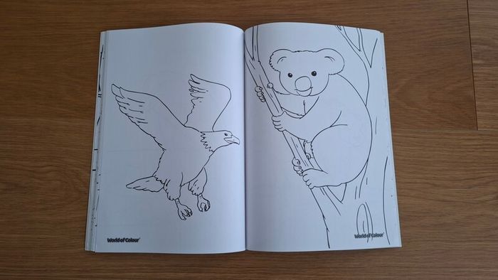 Colouring Book for Young Children