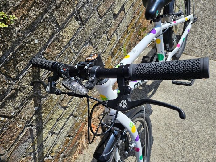 Kids Bike Frog 44