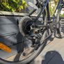 Frog Bike Image 2