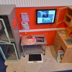 Our Generation vet set