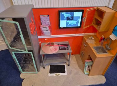 Our Generation vet set