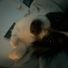 raisin_sult21