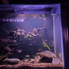 1000ltr Fish Tank Best Offer Takes It, Need It Gone Asap