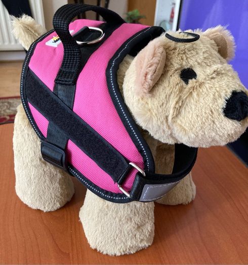 Gorgeous Waggy Tails No Pull Harness Size Small Brand New