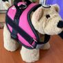 Gorgeous Waggy Tails No Pull Harness Size Small Brand New Image 3